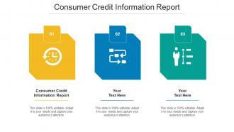 Consumer Credit Information Report Ppt Powerpoint Presentation Professional Graphics Cpb