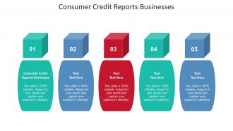 Consumer Credit Reports Businesses Ppt Powerpoint Presentation Portfolio Template Cpb
