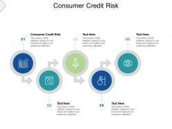 Consumer credit risk ppt powerpoint presentation ideas design ideas cpb