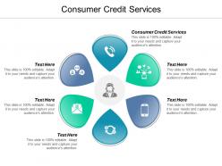 Consumer credit services ppt powerpoint presentation file professional cpb