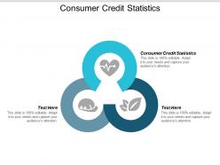 Consumer credit statistics ppt powerpoint presentation ideas visuals cpb