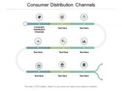 Consumer distribution channels ppt powerpoint presentation outline graphics pictures cpb