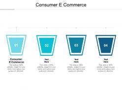 Consumer e commerce ppt powerpoint presentation styles objects cpb