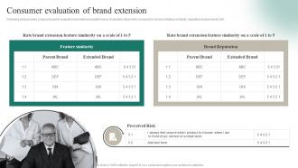 Consumer Evaluation Of Brand Extension Positioning A Brand Extension In Competitive Environment
