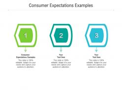 Consumer expectations examples ppt powerpoint presentation slides example file cpb