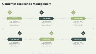 Consumer Experience Management In Powerpoint And Google Slides Cpb