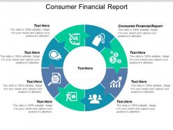 Consumer financial report ppt powerpoint presentation file slides cpb