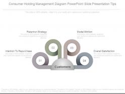 Consumer holding management diagram powerpoint slide presentation tips