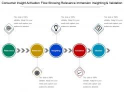 Consumer Insight Activation Flow Showing Relevance Immersion In Sighting And Validation