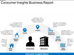 Consumer insights business report