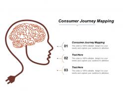 Consumer journey mapping ppt powerpoint presentation icon infographics cpb