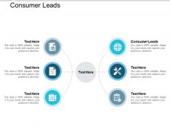 Consumer leads ppt powerpoint presentation inspiration maker cpb