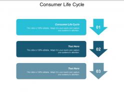 Consumer life cycle ppt powerpoint presentation gallery slide portrait cpb