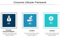 Consumer lifecycle framework ppt powerpoint presentation infographics slide download cpb