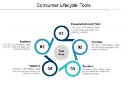 Consumer lifecycle tools ppt powerpoint presentation file design inspiration cpb