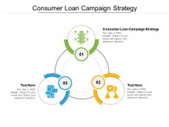 Consumer loan campaign strategy ppt powerpoint infographics themes cpb