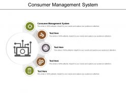 Consumer management system ppt powerpoint presentation ideas deck cpb