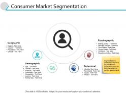 Consumer Market Segmentation Geographic Powerpoint Presentation File Portfolio