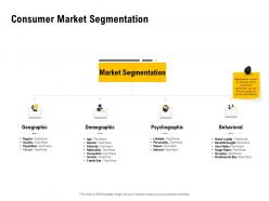 Consumer Market Segmentation Ppt Powerpoint Presentation Slides Influencers
