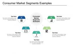 Consumer market segments examples ppt powerpoint presentation model background designs cpb