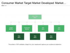 Consumer Market Target Market Developed Market Industrial Market