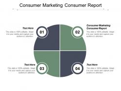 Consumer marketing consumer report powerpoint presentation portfolio infographics cpb