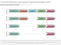 Consumer marketing levels sample diagram presentation outline
