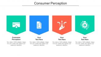 Consumer perception ppt powerpoint presentation outline templates cpb