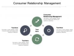 Consumer relationship management ppt powerpoint presentation file guidelines cpb