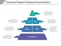 Consumer Research Showing Consumer Brand Performance Judgement