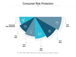 Consumer risk protection ppt powerpoint presentation outline themes cpb