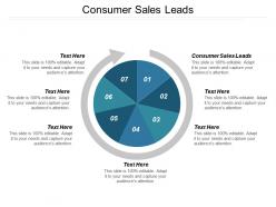 Consumer sales leads ppt powerpoint presentation model skills cpb