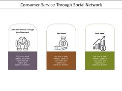 Consumer service through social network ppt powerpoint presentation infographics shapes cpb