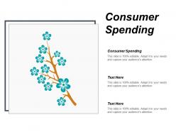 Consumer spending ppt powerpoint presentation ideas demonstration cpb