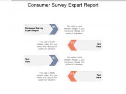 Consumer survey expert report ppt powerpoint presentation outline topics cpb