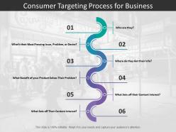 Consumer Targeting Process For Business