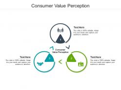 Consumer value perception ppt powerpoint presentation portfolio summary cpb