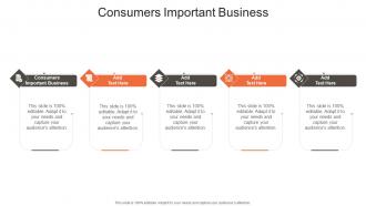 Consumers Important Business In Powerpoint And Google Slides Cpb