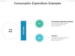 Consumption expenditure examples ppt powerpoint presentation model icons cpb