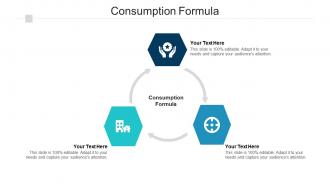 Consumption formula ppt powerpoint presentation inspiration styles cpb