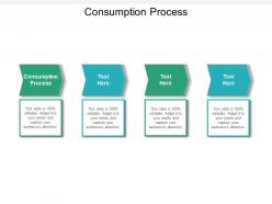 Consumption process ppt powerpoint presentation professional graphics pictures cpb