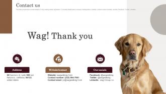 Contact Us Dog Walking Mobile Application Pitch Deck
