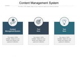 Content management system ppt powerpoint presentation show slide portrait cpb