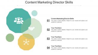 Content marketing director skills ppt powerpoint presentation pictures visual aids cpb