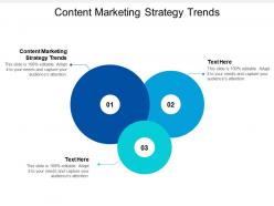 Content marketing strategy trends ppt powerpoint presentation infographic template slide portrait cpb