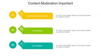 Content Moderation Important Ppt Powerpoint Presentation Model Sample Cpb