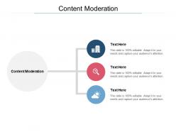 Content moderation ppt powerpoint presentation file slide portrait cpb