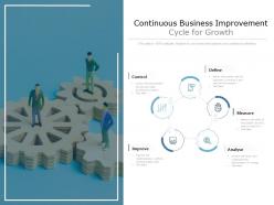 Continuous business improvement cycle for growth