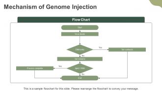 Contractile Tail Mechanism In Bacteriophage Genome Injection PPT Presentation AT Pre-designed Designed