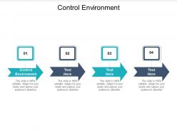 Control environment ppt powerpoint presentation ideas introduction cpb